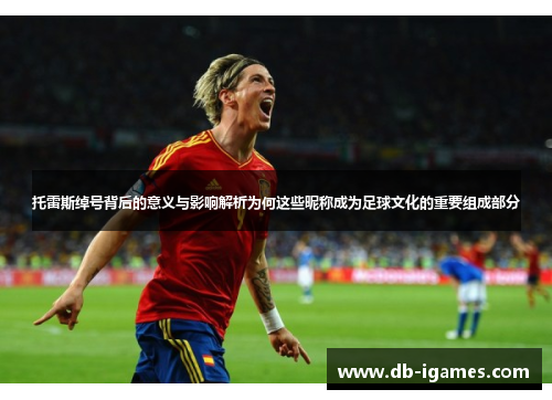 托雷斯绰号背后的意义与影响解析为何这些昵称成为足球文化的重要组成部分 托雷斯绰号背后的意义与影响解析为何这些昵称成为足球文化的重要组成部分