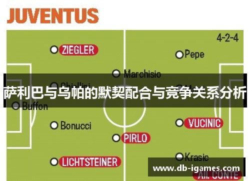 萨利巴与乌帕的默契配合与竞争关系分析 萨利巴与乌帕的默契配合与竞争关系分析