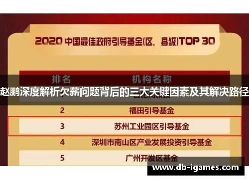 赵鹏深度解析欠薪问题背后的三大关键因素及其解决路径 赵鹏深度解析欠薪问题背后的三大关键因素及其解决路径