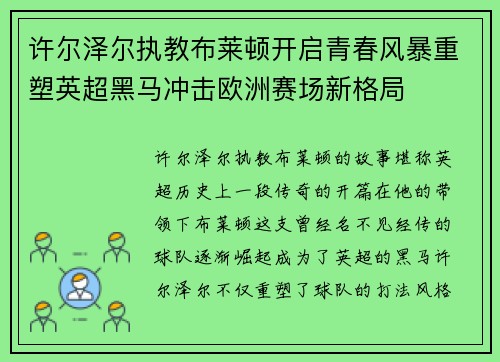 许尔泽尔执教布莱顿开启青春风暴重塑英超黑马冲击欧洲赛场新格局